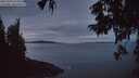./images/koeye/fitz-hugh/20251005/fitz-hugh20251005_070501M.jpg