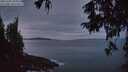 ./images/koeye/fitz-hugh/20251005/fitz-hugh20251005_071001M.jpg