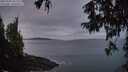 ./images/koeye/fitz-hugh/20251005/fitz-hugh20251005_071501M.jpg
