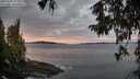 ./images/koeye/fitz-hugh/20251005/fitz-hugh20251005_074002M.jpg