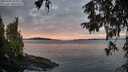 ./images/koeye/fitz-hugh/20251005/fitz-hugh20251005_074501M.jpg
