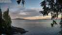 ./images/koeye/fitz-hugh/20251005/fitz-hugh20251005_080001M.jpg