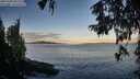 ./images/koeye/fitz-hugh/20251005/fitz-hugh20251005_081501M.jpg