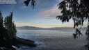 ./images/koeye/fitz-hugh/20251005/fitz-hugh20251005_083001M.jpg