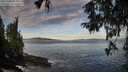 ./images/koeye/fitz-hugh/20251005/fitz-hugh20251005_084001M.jpg