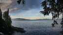 ./images/koeye/fitz-hugh/20251005/fitz-hugh20251005_084501M.jpg
