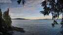 ./images/koeye/fitz-hugh/20251005/fitz-hugh20251005_090501M.jpg