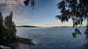 ./images/koeye/fitz-hugh/20251005/fitz-hugh20251005_091001M.jpg
