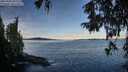 ./images/koeye/fitz-hugh/20251005/fitz-hugh20251005_091502M.jpg