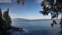 ./images/koeye/fitz-hugh/20251005/fitz-hugh20251005_092501M.jpg