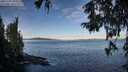 ./images/koeye/fitz-hugh/20251005/fitz-hugh20251005_093001M.jpg
