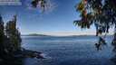 ./images/koeye/fitz-hugh/20251005/fitz-hugh20251005_093501M.jpg