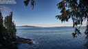 ./images/koeye/fitz-hugh/20251005/fitz-hugh20251005_094001M.jpg