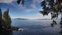 ./images/koeye/fitz-hugh/20251005/fitz-hugh20251005_100502M.jpg