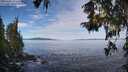 ./images/koeye/fitz-hugh/20251005/fitz-hugh20251005_103501M.jpg