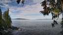 ./images/koeye/fitz-hugh/20251005/fitz-hugh20251005_104001M.jpg