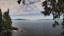 ./images/koeye/fitz-hugh/20251005/fitz-hugh20251005_110001M.jpg