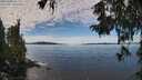 ./images/koeye/fitz-hugh/20251005/fitz-hugh20251005_112002M.jpg