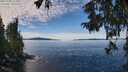 ./images/koeye/fitz-hugh/20251005/fitz-hugh20251005_113001M.jpg