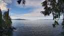 ./images/koeye/fitz-hugh/20251005/fitz-hugh20251005_114001M.jpg