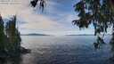./images/koeye/fitz-hugh/20251005/fitz-hugh20251005_114501M.jpg