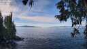 ./images/koeye/fitz-hugh/20251005/fitz-hugh20251005_120501M.jpg