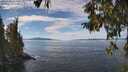 ./images/koeye/fitz-hugh/20251005/fitz-hugh20251005_125501M.jpg