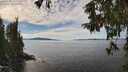 ./images/koeye/fitz-hugh/20251005/fitz-hugh20251005_133001M.jpg