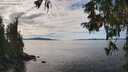 ./images/koeye/fitz-hugh/20251005/fitz-hugh20251005_140002M.jpg