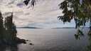 ./images/koeye/fitz-hugh/20251005/fitz-hugh20251005_140501M.jpg