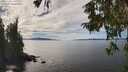 ./images/koeye/fitz-hugh/20251005/fitz-hugh20251005_141001M.jpg