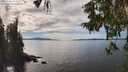 ./images/koeye/fitz-hugh/20251005/fitz-hugh20251005_142502M.jpg