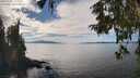 ./images/koeye/fitz-hugh/20251005/fitz-hugh20251005_144001M.jpg