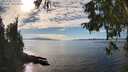 ./images/koeye/fitz-hugh/20251005/fitz-hugh20251005_152002M.jpg