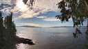./images/koeye/fitz-hugh/20251005/fitz-hugh20251005_153501M.jpg