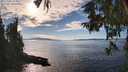 ./images/koeye/fitz-hugh/20251005/fitz-hugh20251005_154001M.jpg