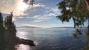 ./images/koeye/fitz-hugh/20251005/fitz-hugh20251005_154501M.jpg