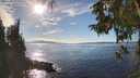 ./images/koeye/fitz-hugh/20251005/fitz-hugh20251005_155002M.jpg