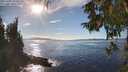 ./images/koeye/fitz-hugh/20251005/fitz-hugh20251005_155501M.jpg