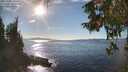 ./images/koeye/fitz-hugh/20251005/fitz-hugh20251005_160501M.jpg