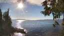 ./images/koeye/fitz-hugh/20251005/fitz-hugh20251005_161001M.jpg