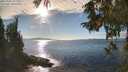 ./images/koeye/fitz-hugh/20251005/fitz-hugh20251005_162001M.jpg