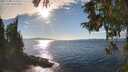 ./images/koeye/fitz-hugh/20251005/fitz-hugh20251005_162501M.jpg