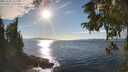 ./images/koeye/fitz-hugh/20251005/fitz-hugh20251005_163001M.jpg