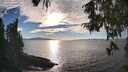 ./images/koeye/fitz-hugh/20251005/fitz-hugh20251005_170002M.jpg