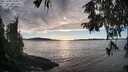 ./images/koeye/fitz-hugh/20251005/fitz-hugh20251005_174001M.jpg