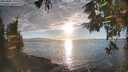 ./images/koeye/fitz-hugh/20251005/fitz-hugh20251005_175501M.jpg