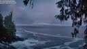 ./images/koeye/fitz-hugh/20260309/fitz-hugh20260309_073501M.jpg