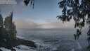 ./images/koeye/fitz-hugh/20260309/fitz-hugh20260309_102001M.jpg
