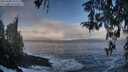 ./images/koeye/fitz-hugh/20260309/fitz-hugh20260309_102501M.jpg
